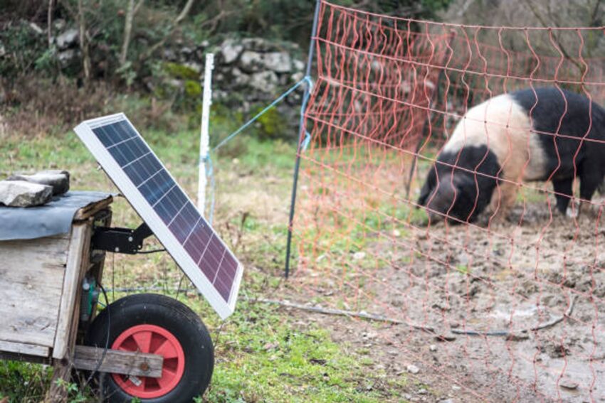 Solar Fence Charger: Complete 2025 Buying Guide for Livestock Protection 9 Solar Fence Charger
