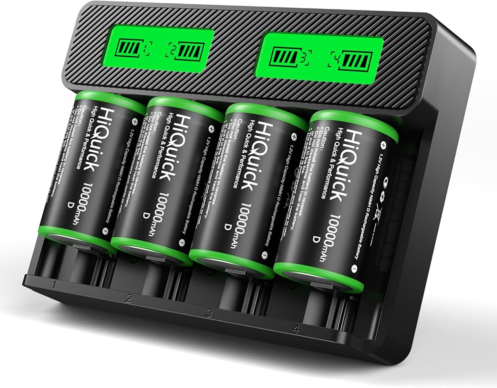 rechargeable d batteries with charger
